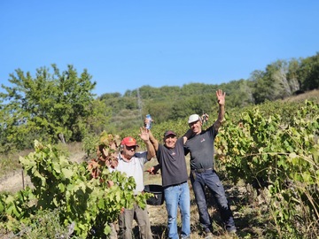 Le Domaine des Maladières - Nos vins en bouteille