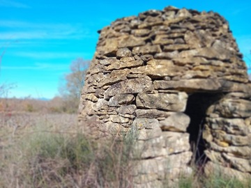 Le Domaine des Maladières - Nos vins en bouteille