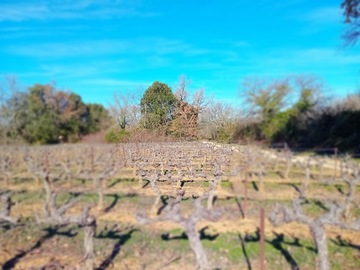 Domaine des Maladières